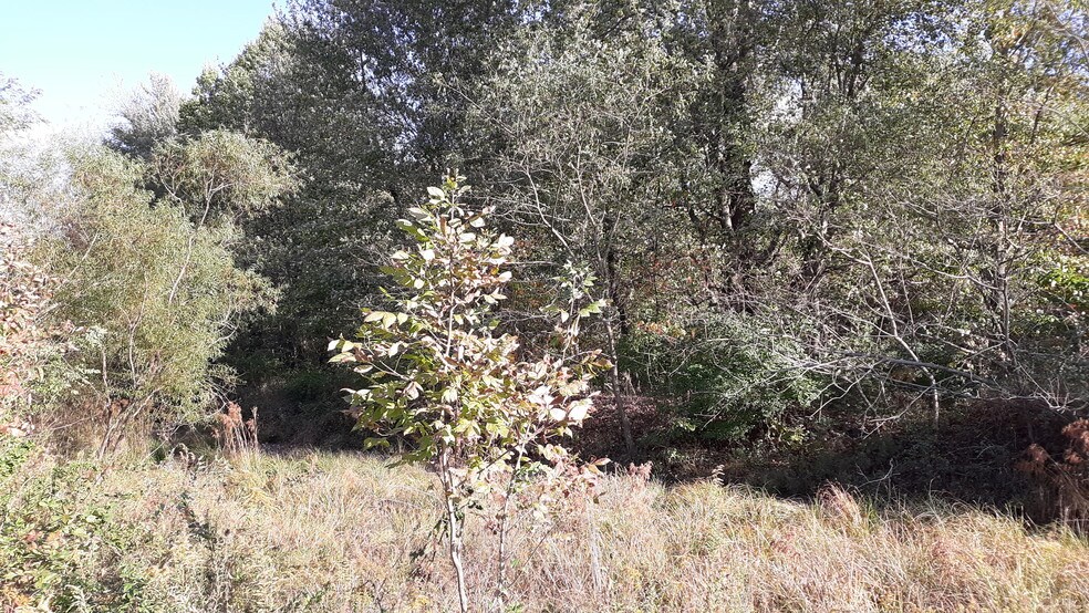 More Photos Of 3354 State Route 132, Amelia Land For Sale