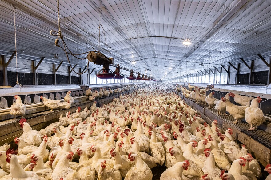 More Photos Of 1291 Myron Hart Rd, Coolidge Land For Sale