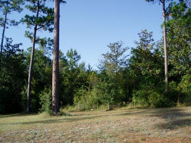 More Photos Of US Highway 98, Lillian Land For Sale