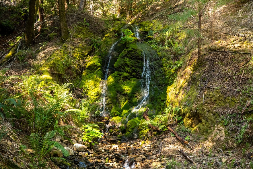 More Photos Of 8555 Signal Ridge Road, Philo Land For Sale