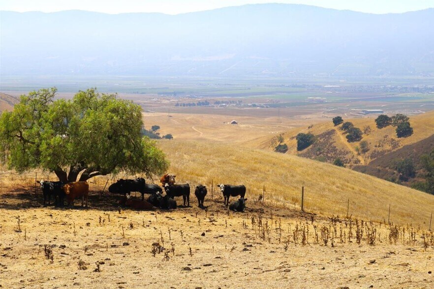 More Photos Of 32800 Johnson Canyon Rd, Gonzales Land For Sale