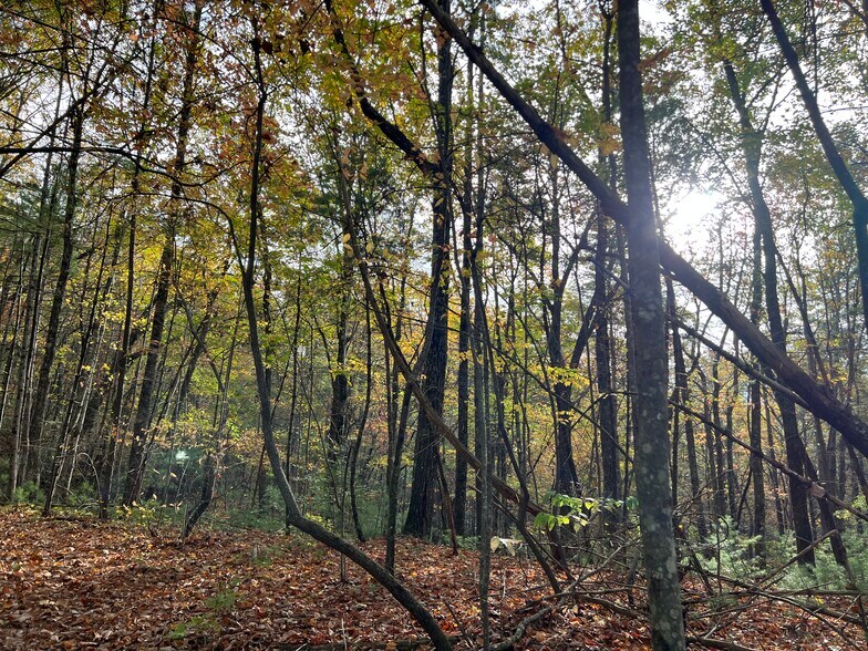 More Photos Of Whitecliff Drive, Ellijay Land For Sale