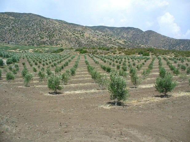 More Photos Of 0 San Felipe Rd, Warner Springs Land For Sale