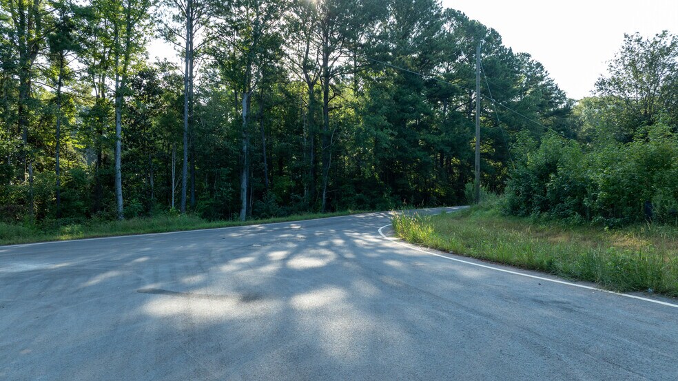 More Photos Of 62 Turin Rd, Senoia Land For Sale