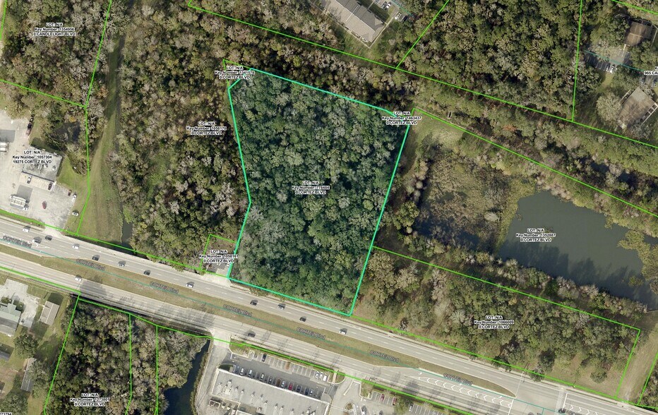 More Photos Of 19301 Cortez Blvd, Brooksville Land For Sale