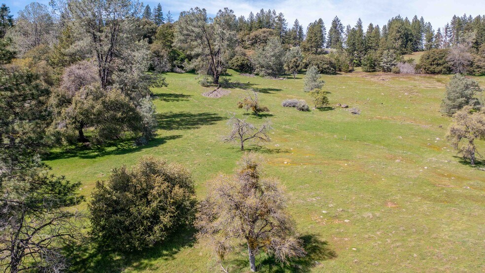 More Photos Of 18800 Charleston Rd, Volcano Land For Sale