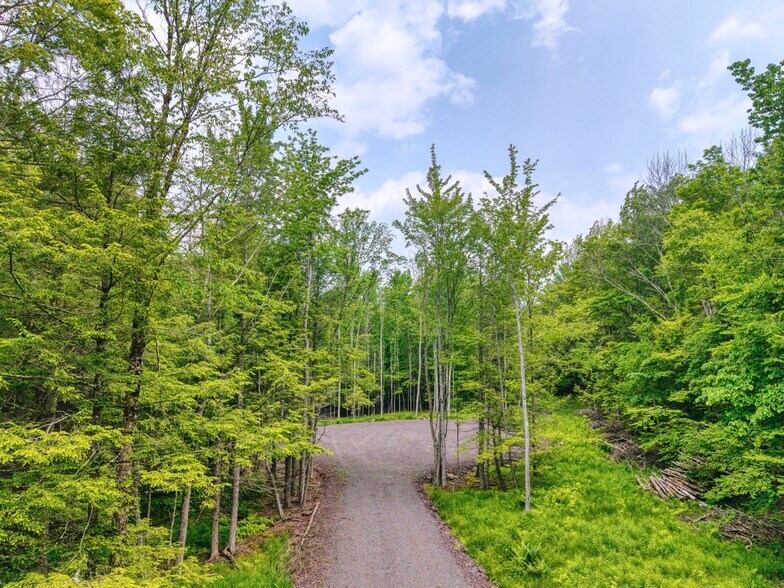More Photos Of Boulder Brook Rd, Windham Land For Sale