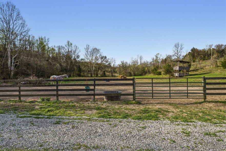 More Photos Of 3898 Lawson Bottom Rd, Burkesville Land For Sale