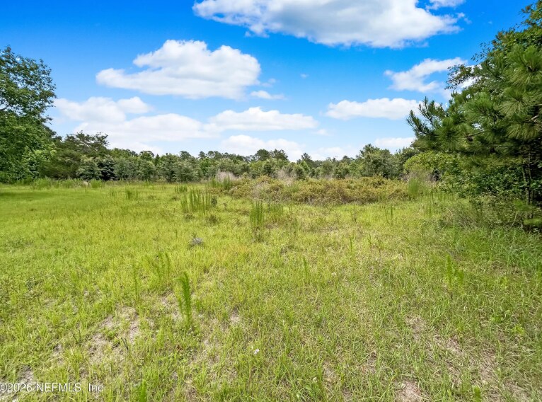 More Photos Of 0 Black Creek Dr, Middleburg Land For Sale