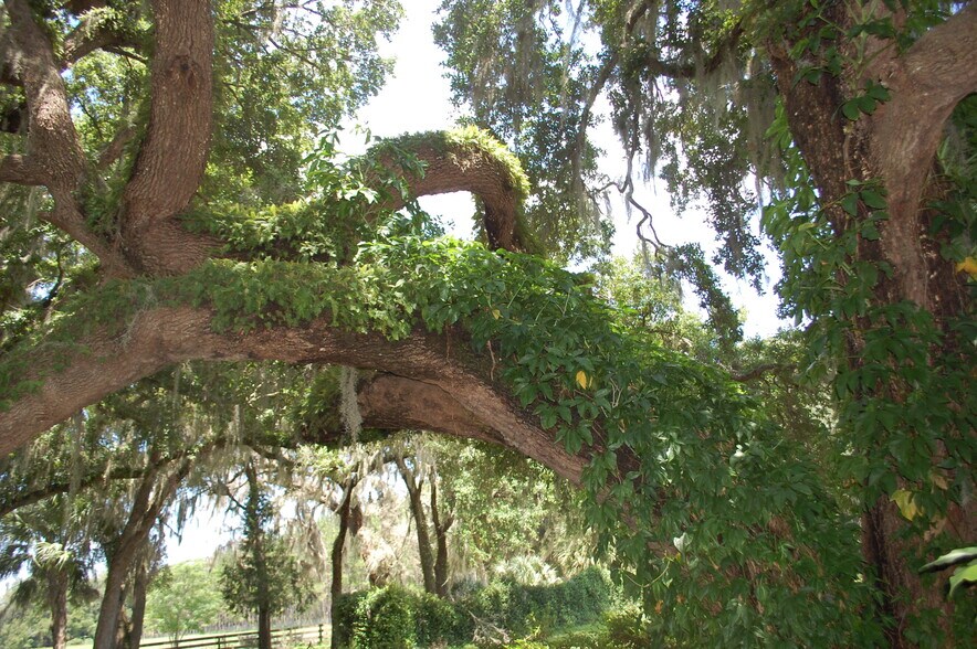 More Photos Of 18811 SE 243rd St, Hawthorne Specialty For Sale