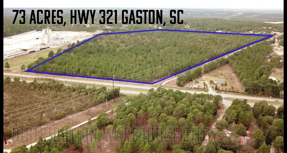 Primary Photo Of 5046 Hwy 321, Gaston Land For Sale