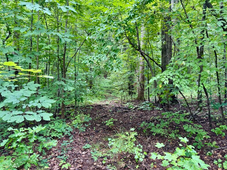 More Photos Of 3901 Old NC 86, Hillsborough Land For Sale