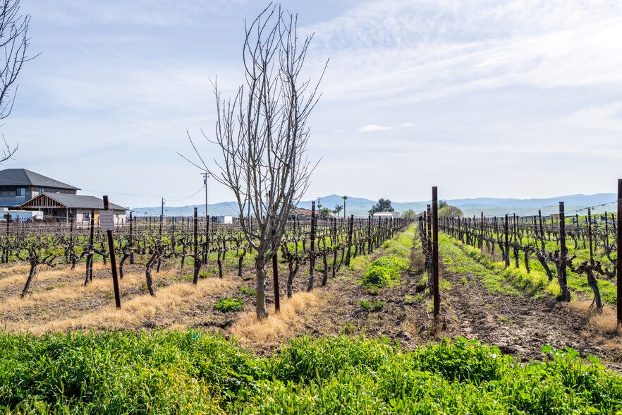 More Photos Of 8482 W Linne Rd, Tracy Winery Vineyard For Lease