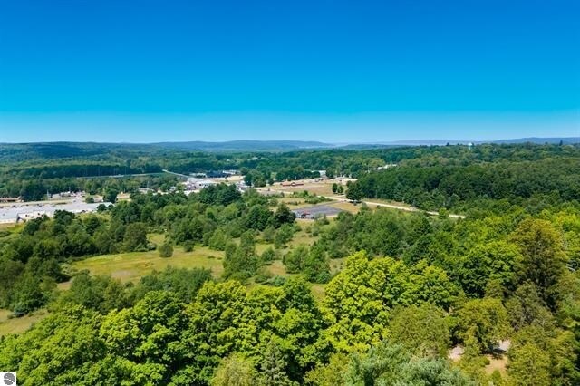 More Photos Of 00 Love Rd, Benzonia Land For Sale