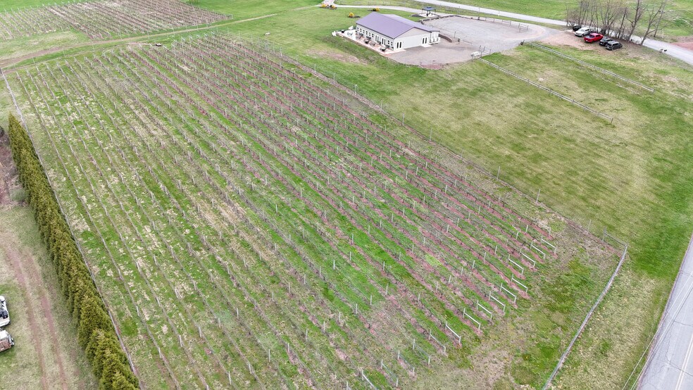 More Photos Of 596 Harman Rd, Halifax Winery Vineyard For Sale