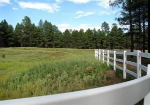 More Photos Of 2600 W Kiltie Ln, Flagstaff Horse Stables For Sale