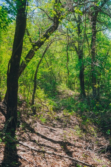 More Photos Of 1471 Chapman Ct, Aledo Land For Sale