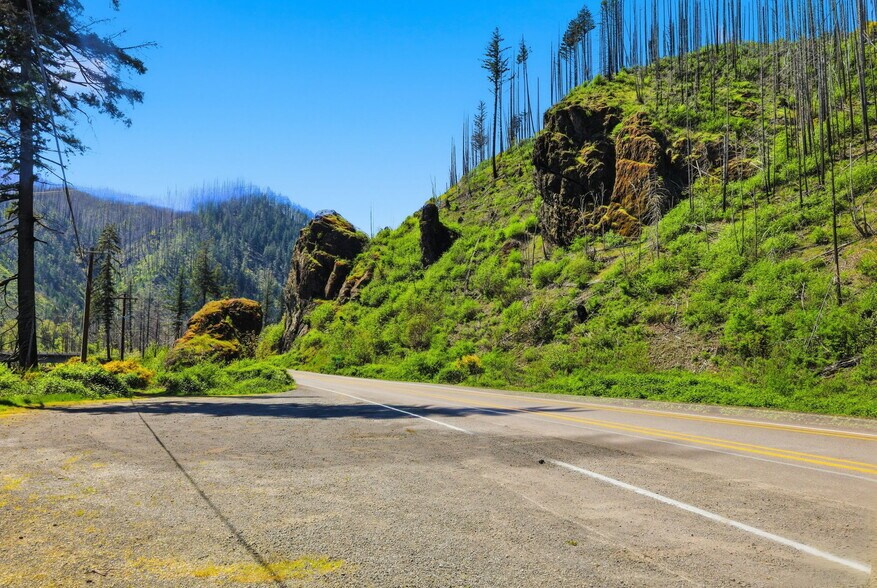 More Photos Of 50660 McKenzie Hwy, Vida Land For Sale