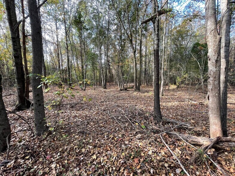 More Photos Of 0 Hwy 69 South, Columbus Land For Sale