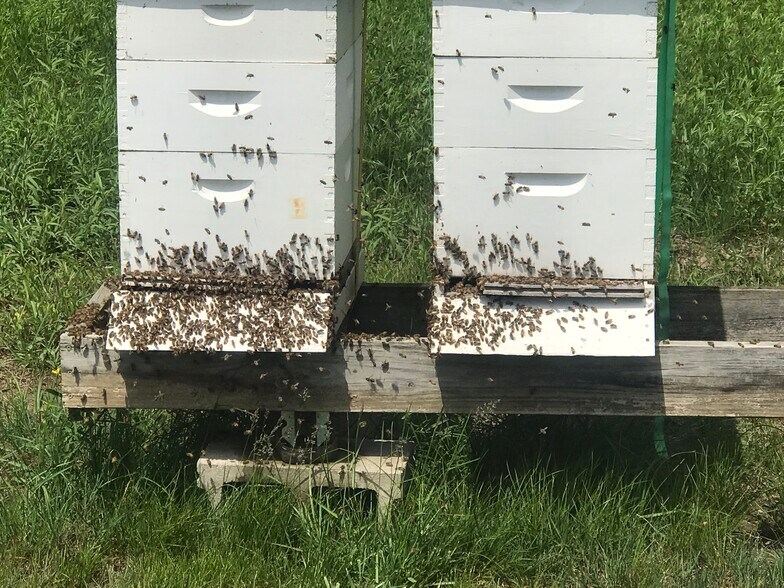 More Photos Of 552 Lick Creek Rd, Leasburg Land For Sale