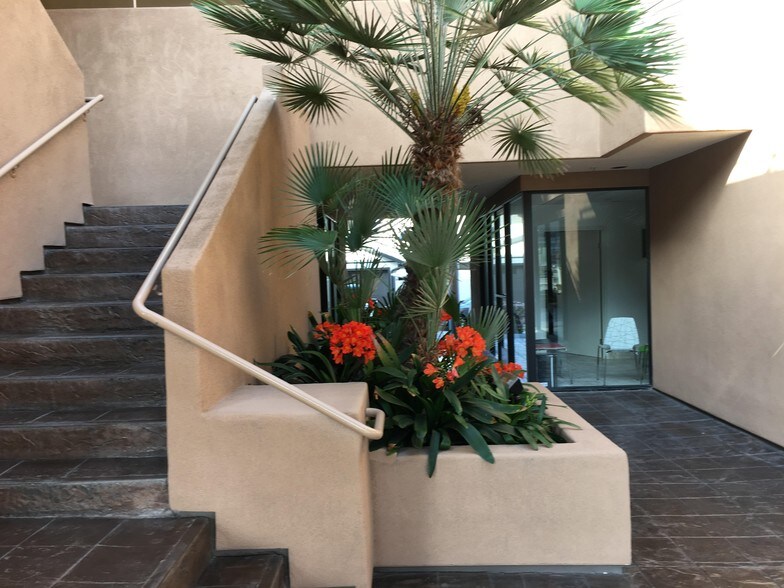 More Photos Of 5724-5726 La Jolla Blvd, La Jolla Apartments For Lease