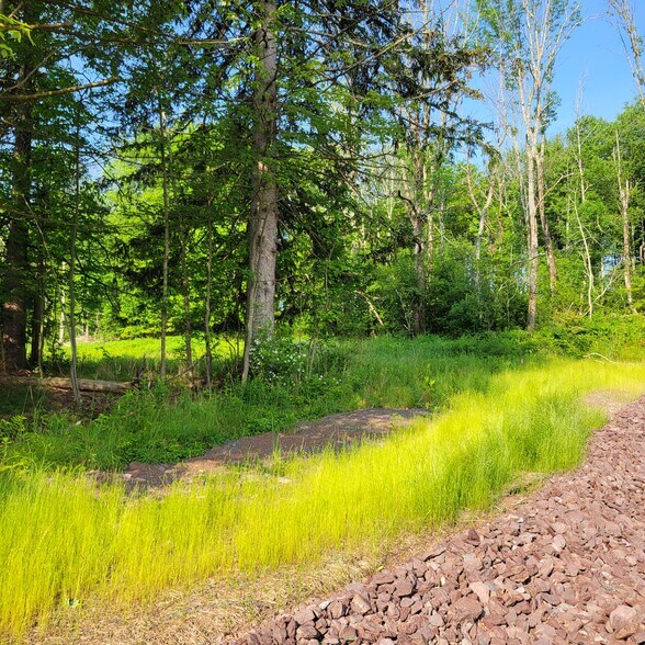 More Photos Of 1283 Old Route 17, Ferndale Land For Sale