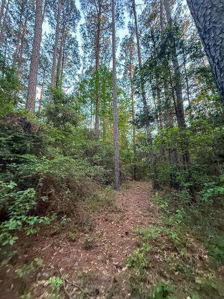 More Photos Of State Highway 75 South, Huntsville Land For Sale