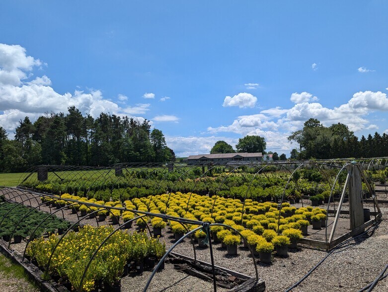 More Photos Of 684 Miller Picking Rd, Davidsville Specialty For Sale