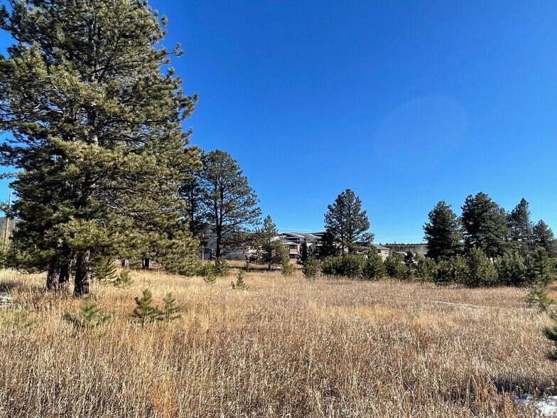More Photos Of 841 Research Dr, Woodland Park Land For Sale