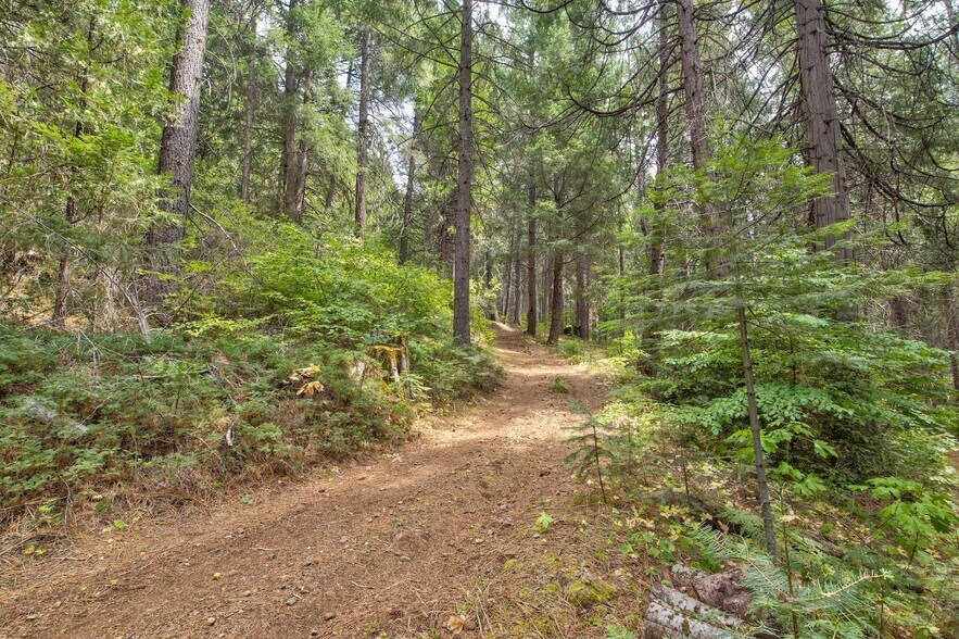 More Photos Of Mountain Dew Lane, Somerset Land For Sale