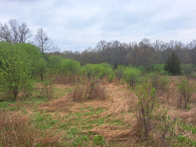 More Photos Of Kiernan Road @ Route 207, Campbell Hall Land For Sale