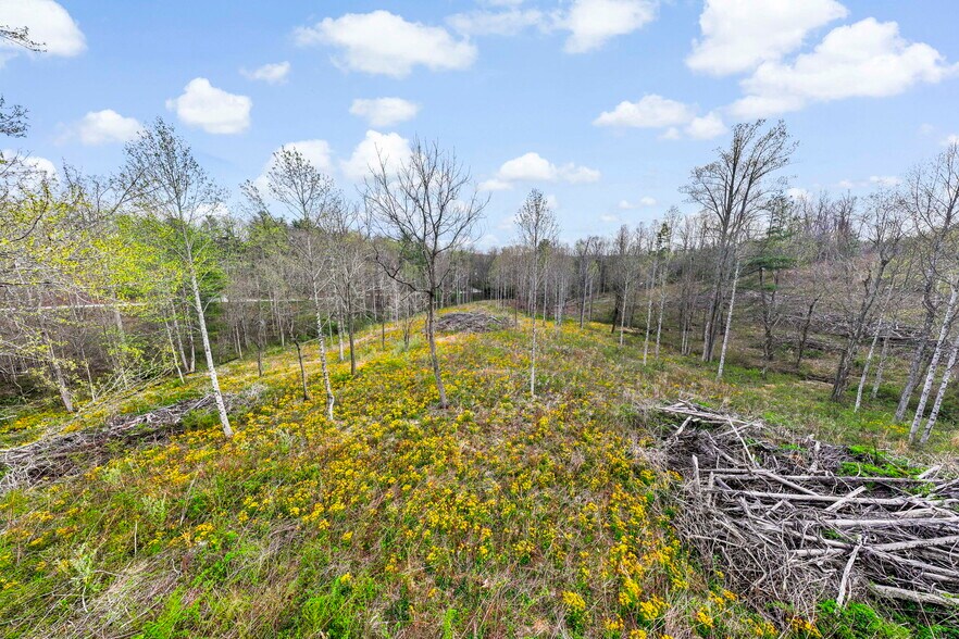 More Photos Of 110 Laurel Acres Ln, Flat Rock Land For Sale