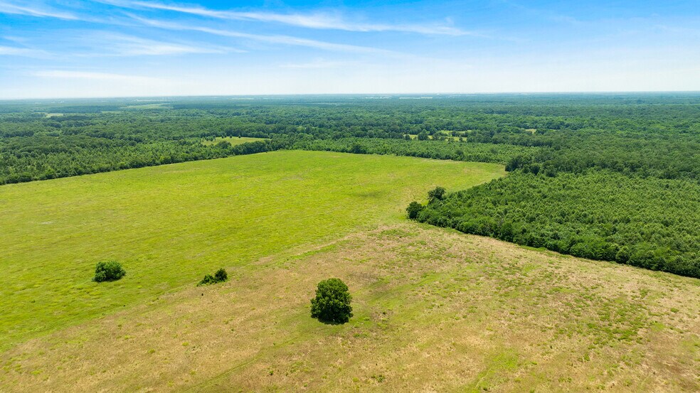 More Photos Of 449 County Road 1357, Clarksville Land For Sale