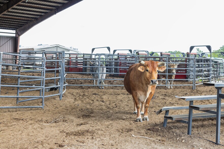 More Photos Of 8519 State Park Rd, Lockhart Land For Sale