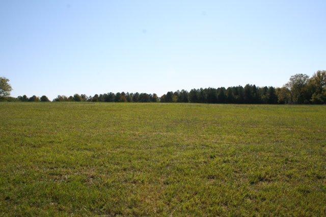 More Photos Of 2365 E Oak St, Conway Land For Sale