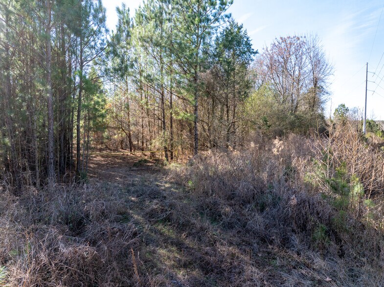 More Photos Of 2071 Leslie Mill Rd, Greensboro Land For Sale