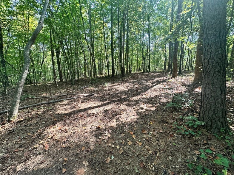 More Photos Of 7330 Frix Rd, Cumming Land For Sale