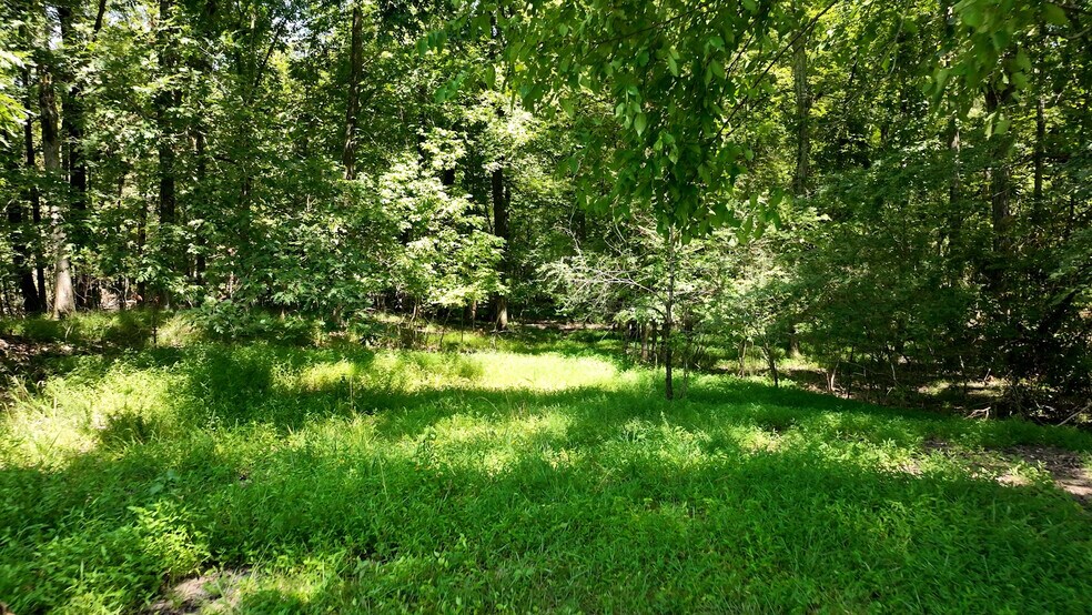 More Photos Of 8843 Highway 70, Arlington Land For Sale