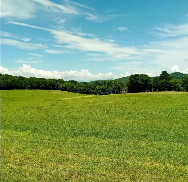 Primary Photo Of Bradyville Pike, Readyville Land For Sale