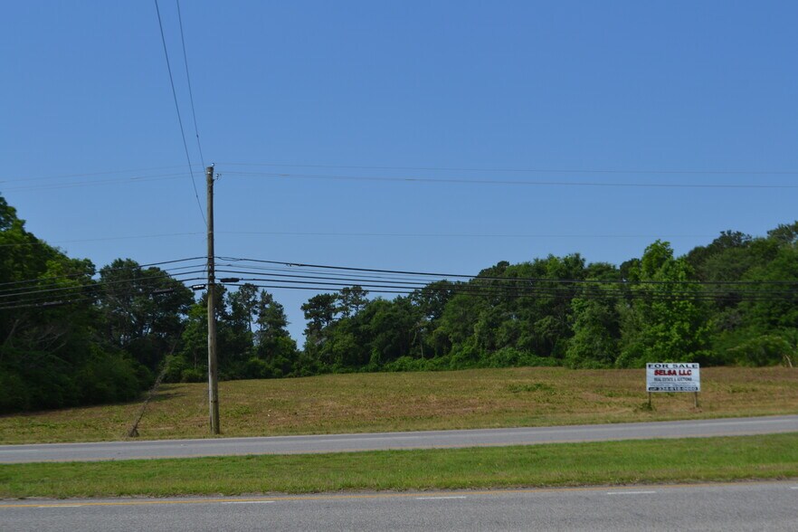 More Photos Of E US Highway 84, Dothan Land For Sale
