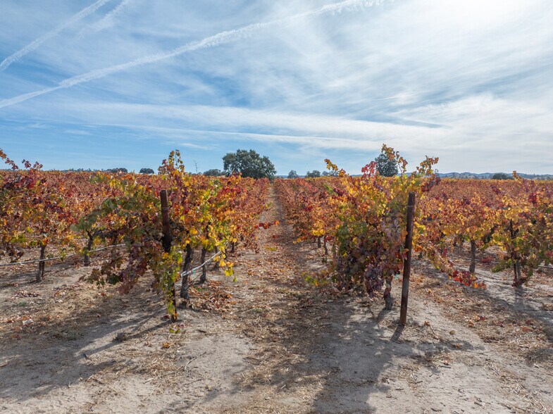 More Photos Of 6520 O'Donovan Rd, Creston Land For Sale