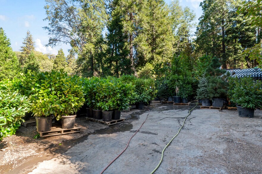 More Photos Of 303 CA-173 Hwy, Lake Arrowhead Garden Center For Sale