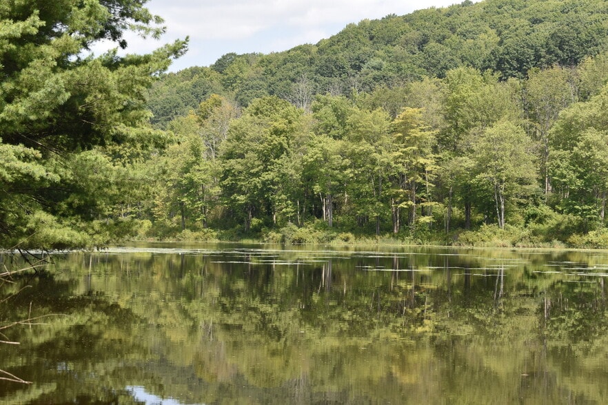 More Photos Of 2276 Old Route 17, Windsor Township Specialty For Sale