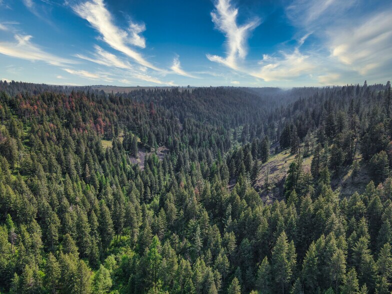 More Photos Of 45XXX Devore Rd, Davenport Land For Sale