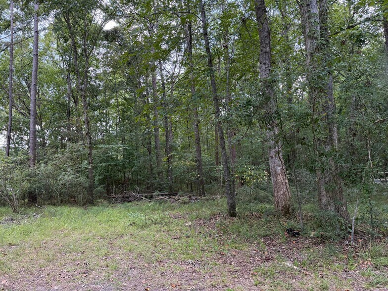 More Photos Of 1151-1b Orangeburg Road, Summerville Land For Sale