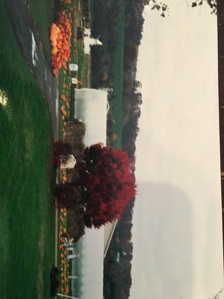 More Photos Of 16094 Evergreen Valley Rd, Timberville Specialty For Lease