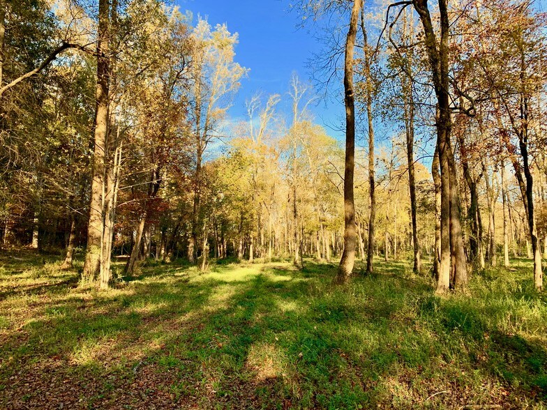 More Photos Of 1882 Barber Creek Rd, Statham Land For Sale