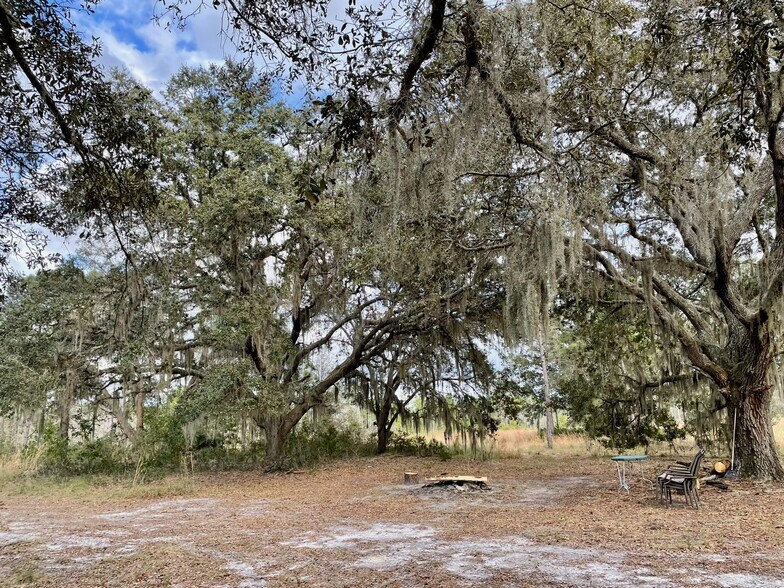 More Photos Of 19858 State Road 52, Land O' Lakes Land For Sale