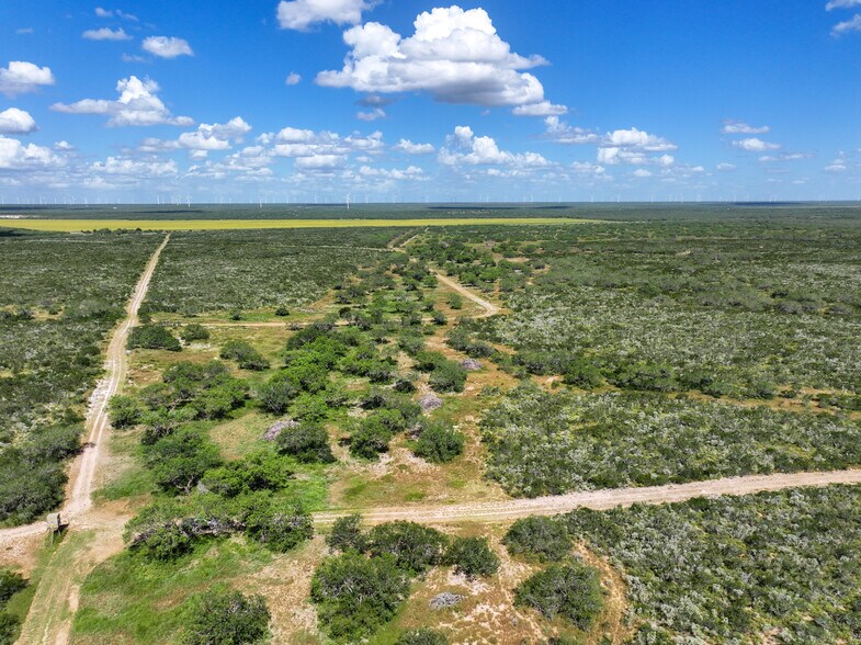 More Photos Of Las Brisas Road, Rio Grande City Land For Sale
