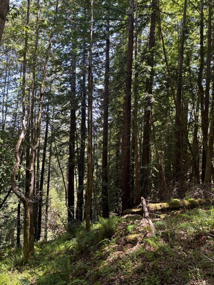 More Photos Of 21380 Siri rd, Guerneville Land For Sale